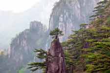 Фоновое изображение